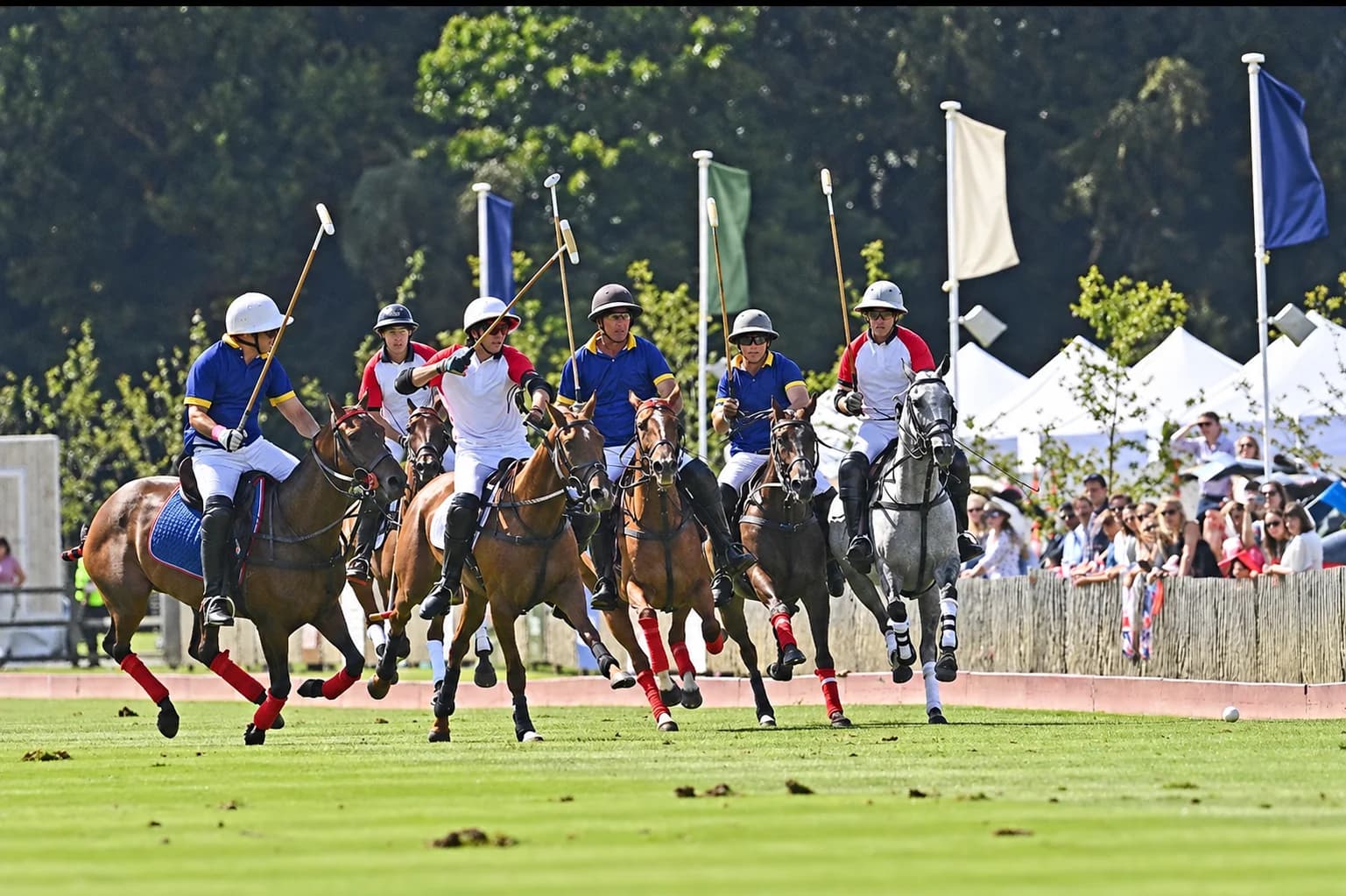 Members watching a polo match